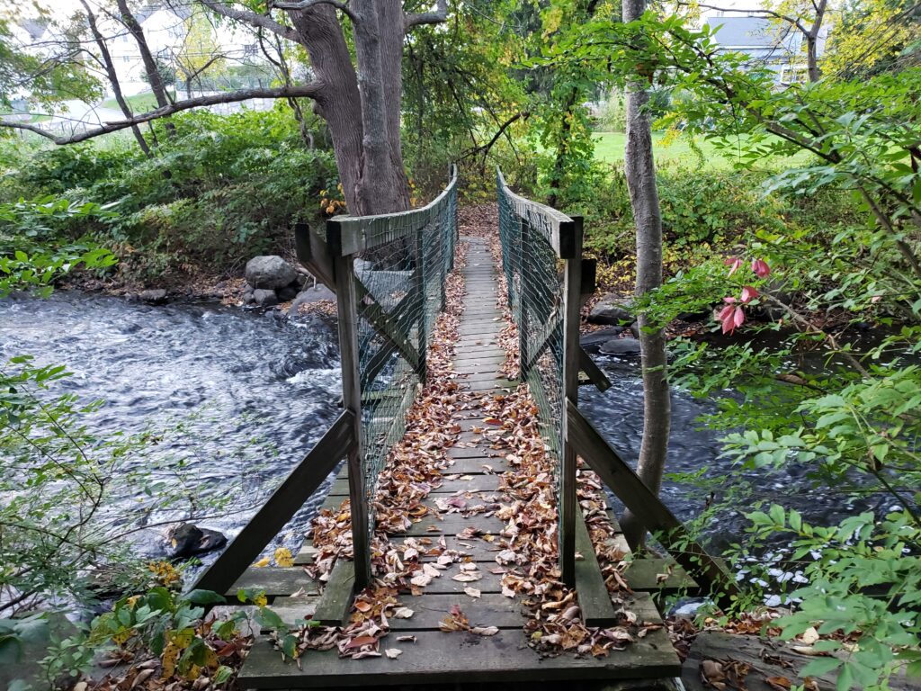 Yellick Conservation Area in Northborough Ma