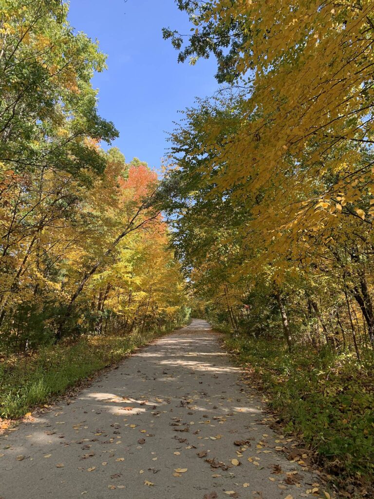 Rail Trail Fall