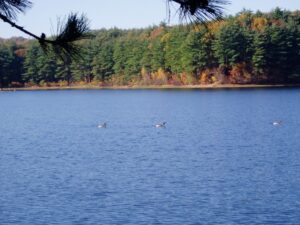 Westborough lake